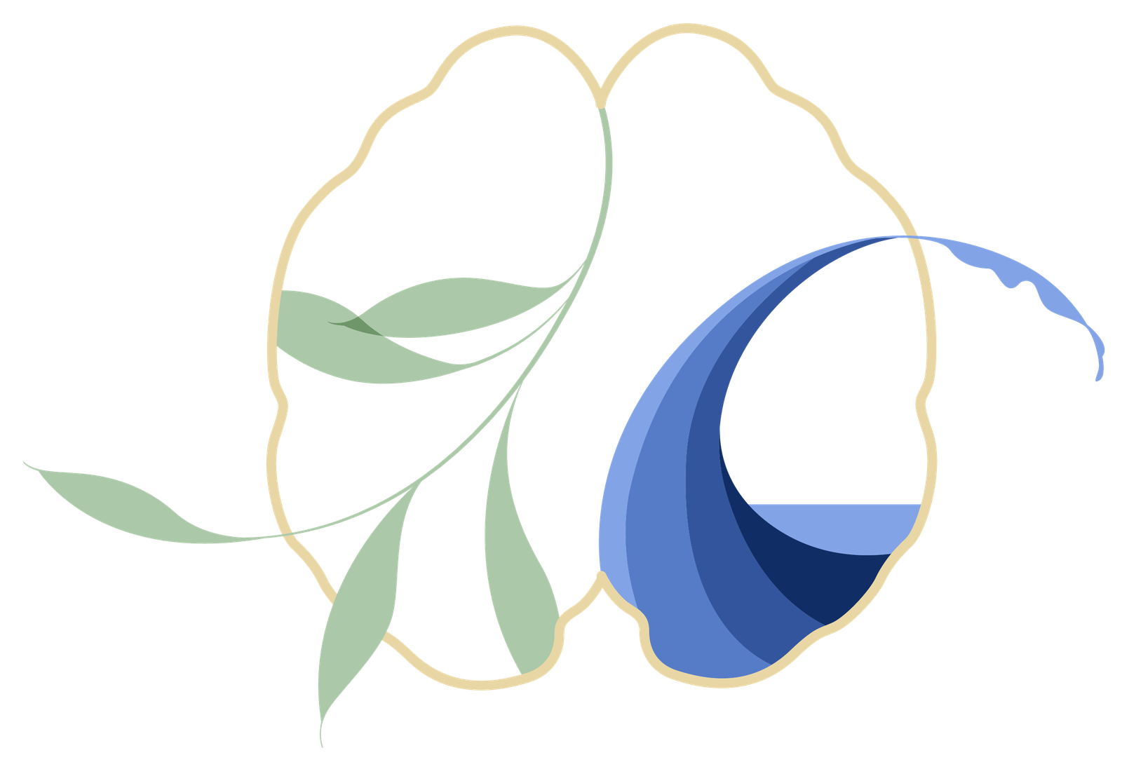 Cabinet de psychiatrie Penn Seder à Rennes